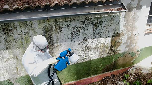 Trusted Crawl Space Mold Removal service in Dacula, GA - Cheap Mold Removal